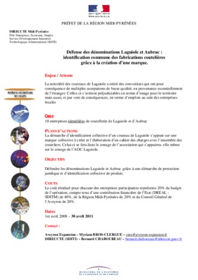 autocuiseur laguiole Book