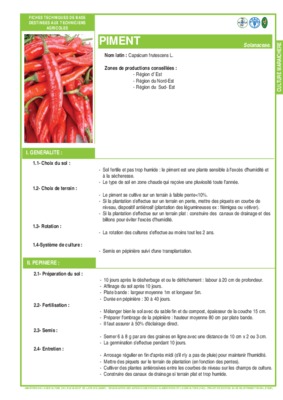 exces eau sol plante Book