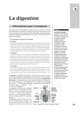 consommons Book
