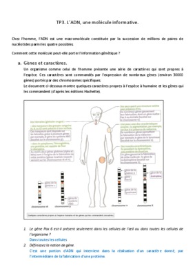 l_adn molecule informative Book