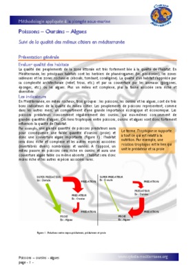 consomment Book