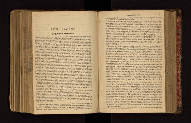 ogie absolue Book