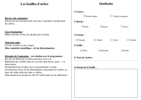 palmee Book