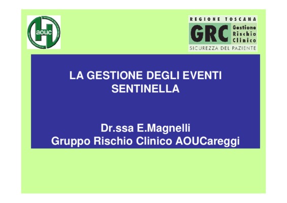 magnelli Book