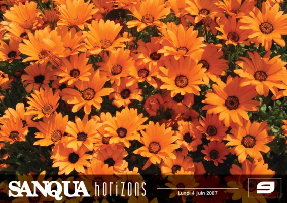 sanqua Book