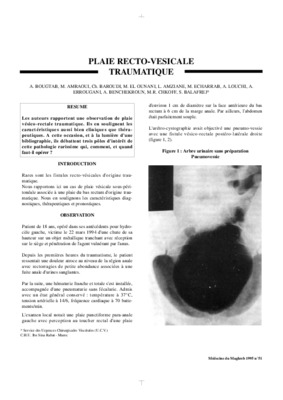 plaie vesicale Book