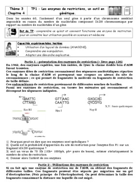 exercices enzymes restrictions Book