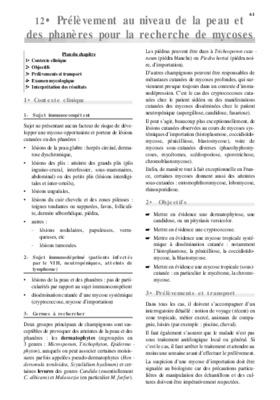 phaneres Book