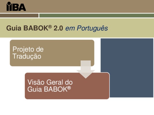 guia babok Book