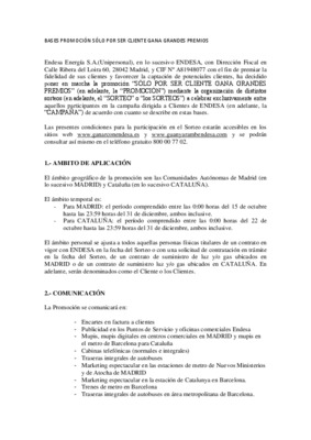 endesa Book