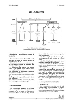 leucocytes Book