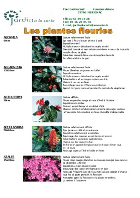 aglaonema Book