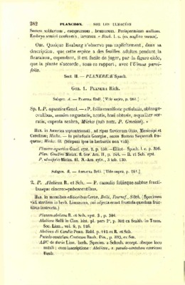 semini Book