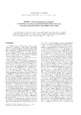 palumbo Book
