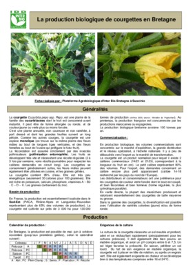 suscinio Book