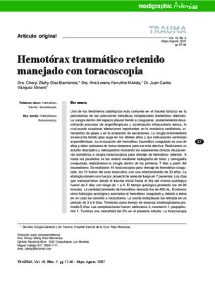 toracoscopia Book