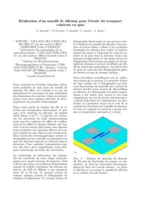 nanofil de silicium Book