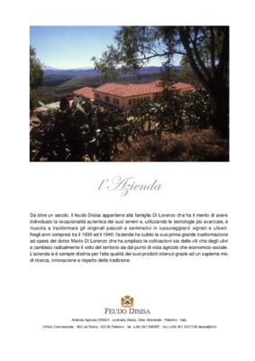 fausto lo feudo Book