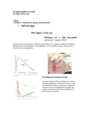 vin rouge elimination phenol Book