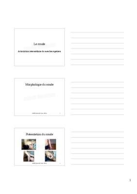 nordin tahkoute Book