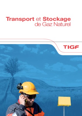 maximo tigf Book