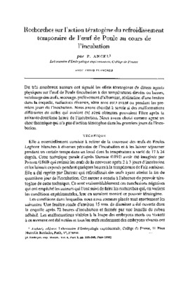 teratogene Book
