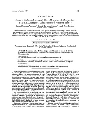 lauraceae Book