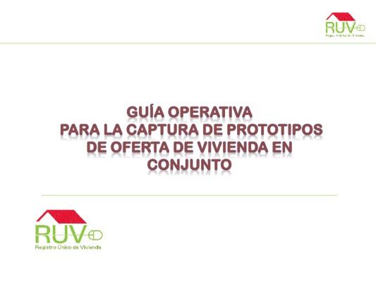 captura en flagrancia Book