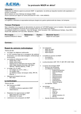 h 323 mgcp Book