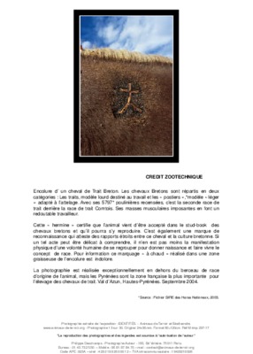 pointage chevaux de trait Book