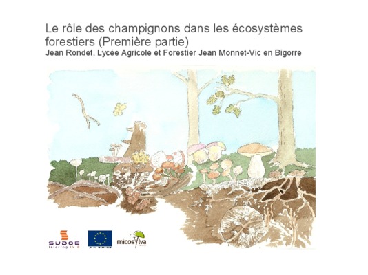 role des champignons dans la biormediation des phosphogypses Book