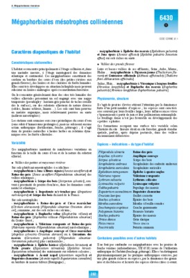 collineennes Book