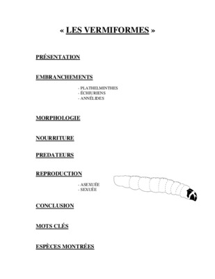 embranchements Book