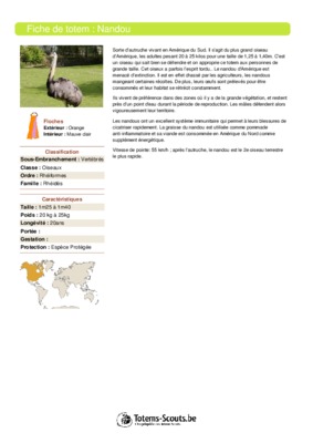 le nandou Book
