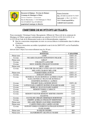montigny le tilleul Book