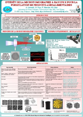 microtomographie Book
