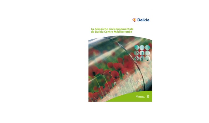 dsi dalkia Book