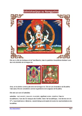 dorje Book