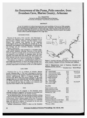 svendsen Book