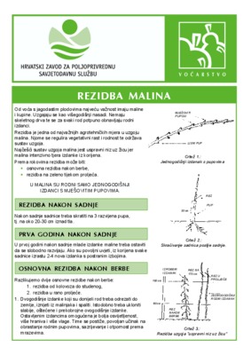 malina Book