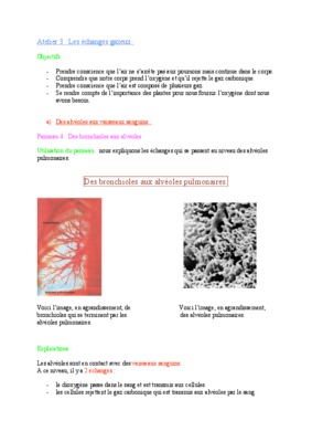 bronchioles Book