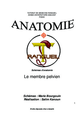 qcm myologie membre pelvien pcem1 Book
