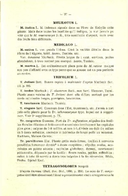 debeaux Book