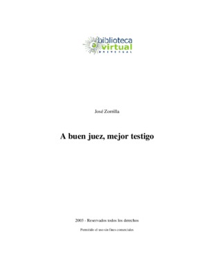 significado de las luces de testigo Book