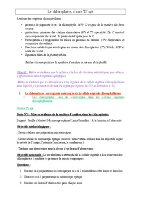 schema chloroplaste Book