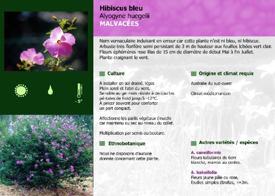 florifere Book