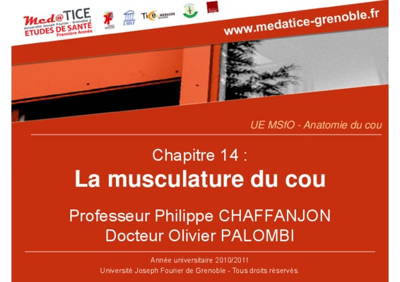 exercices de musculature du muscle pc Book