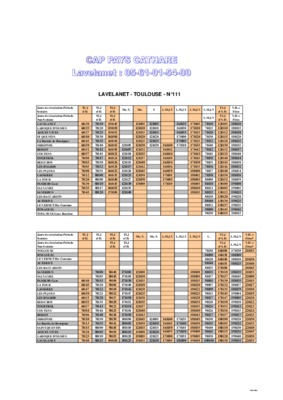 lavelanet toulouse Book