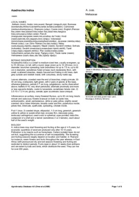 azadirachta indica Book