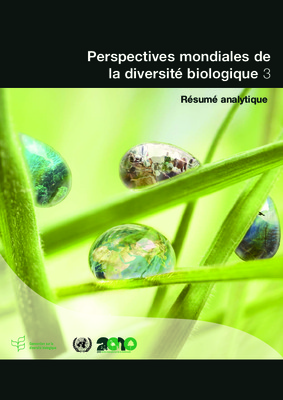 ficile Book